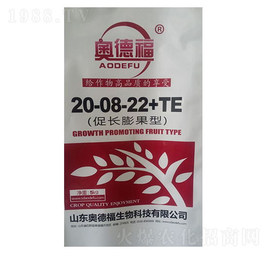 ���L�����20-8-22+TE-�W�¸�