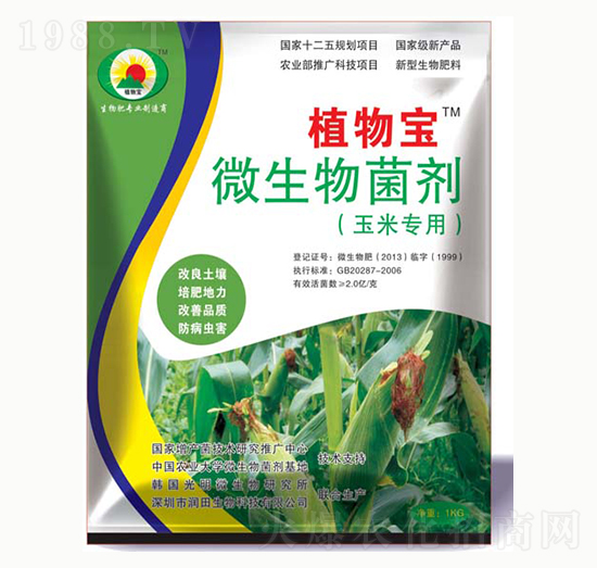 ���׌���΢�������-ֲ�-��������