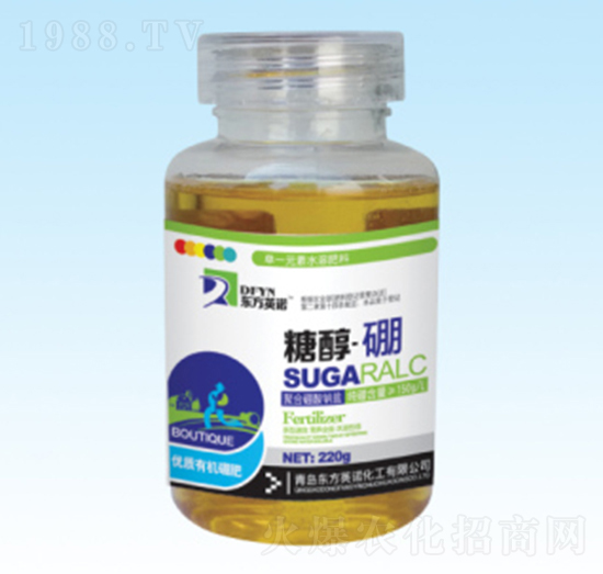 �Ǵ�����-�|��Ӣ�Z