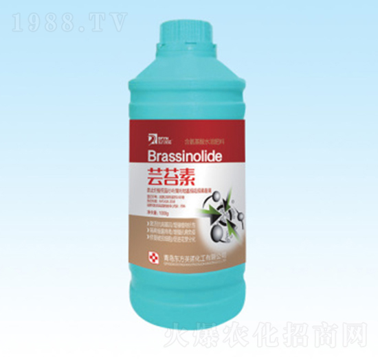 �|̦��-�|��Ӣ�Z