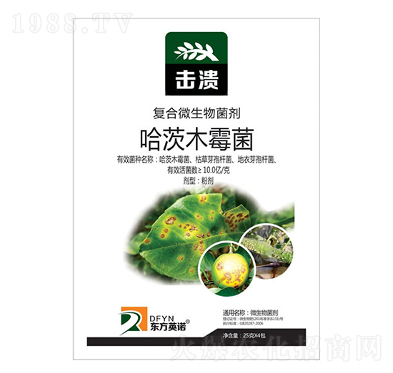 ����ľù��-����-�|��Ӣ�Z