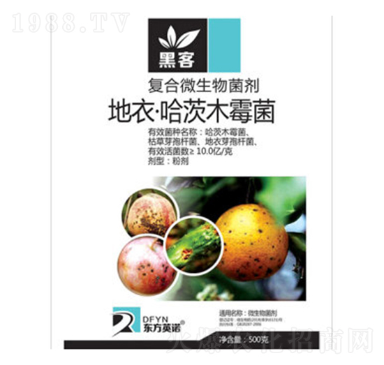 ���¡�����ľù��-�ڿ�-�|��Ӣ�Z