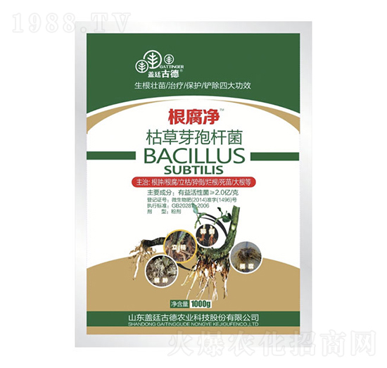 �ݲ�ѿ�ߗU��-������-�|��Ӣ�Z