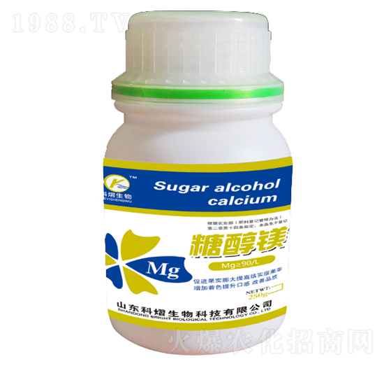 �Ǵ��V-��������