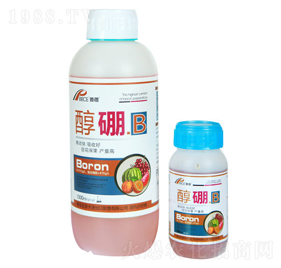 ��������-��ɪ��