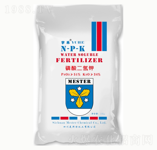 �����������-㑝�(r��n)����