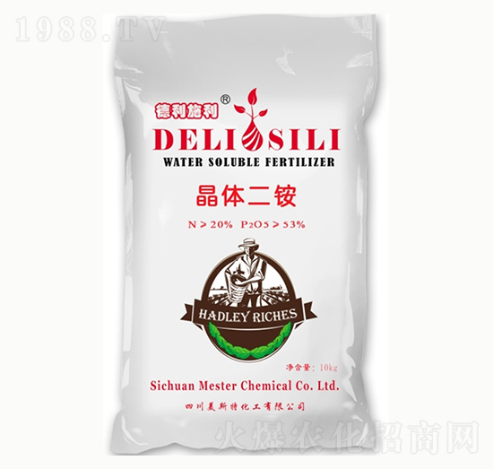 ����˹�����w���@-㑝�(r��n)����