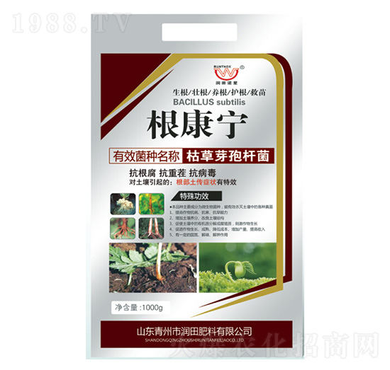 �ݲ�ѿ�ߗU��-������-��(r��n)�����