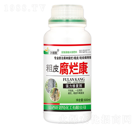 ��Ƥ������-�~����