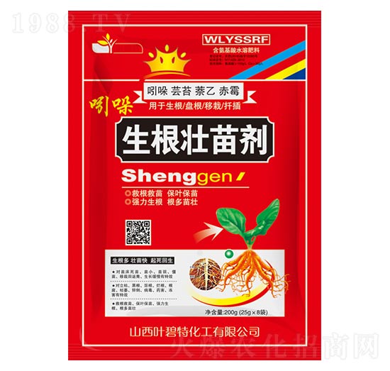 �������焩-�~����