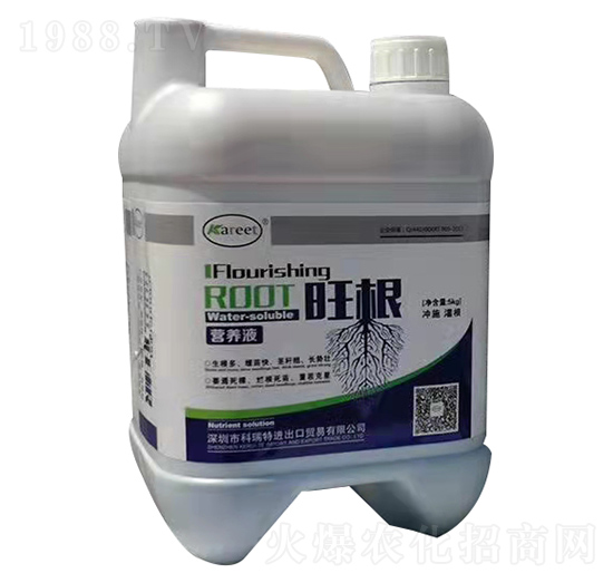 ����-������