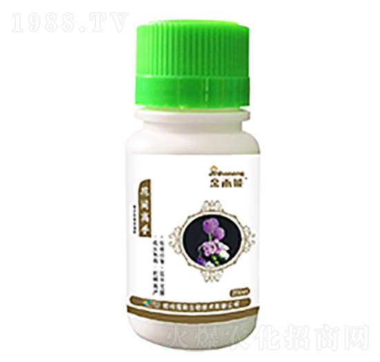 ���g����-������-�κ��r(n��ng)�I(y��)