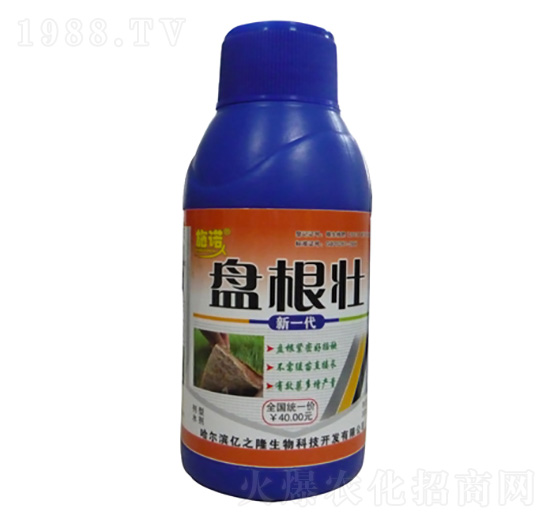 �P���ѣ�����P�����Y��-�|֮¡