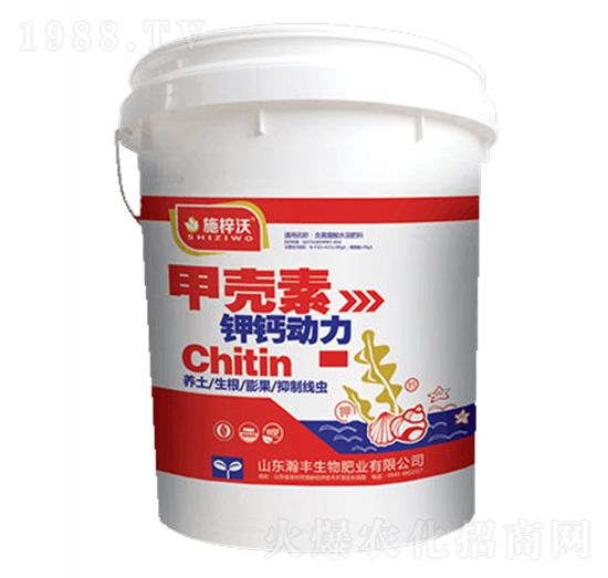 �ך�����}����-ʩ����-��S����