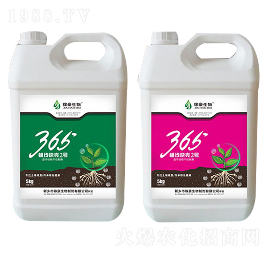 365�������2̖-�ں�����