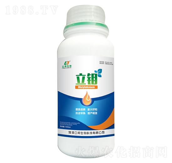 ���f-��������