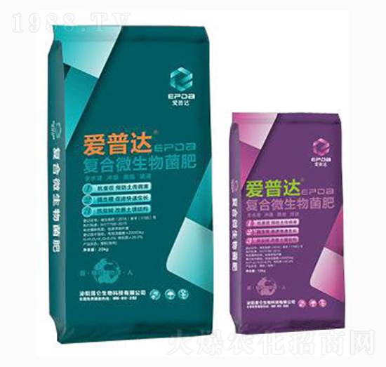 �ͺ�΢�������-�����_