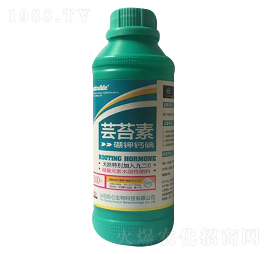 �|̦��-�����_(d��)