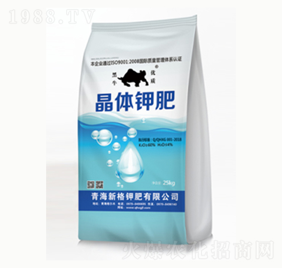 ���w⛷�-�¸�