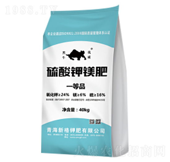 ������V��-�¸�