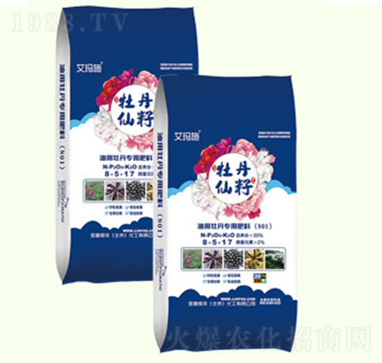 ����ĵ������8-5-17-ĵ������-������S