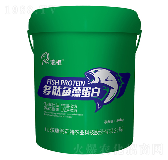 �����~�嵰��-��ֲ-���w�~��