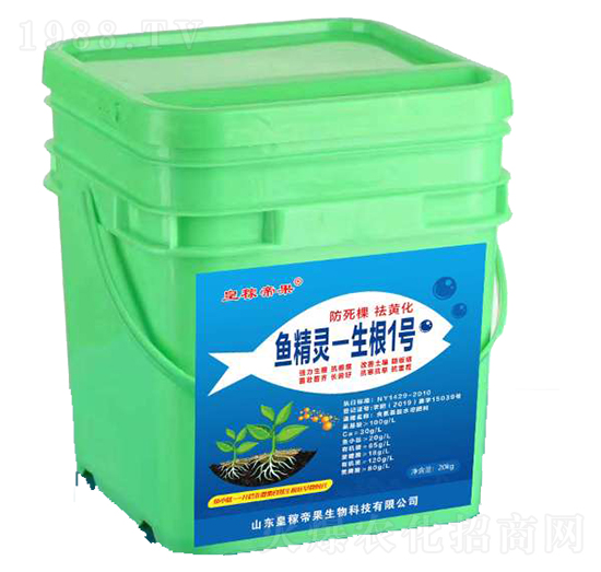 �~���`-����1̖-�ʼڵ۹�