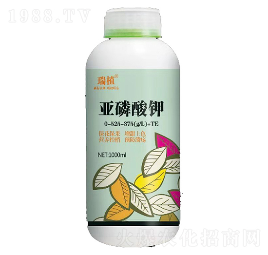 �������0-525-375+TE-��ֲ-���w�~��