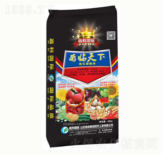 ΢�������-���R����-�ο�