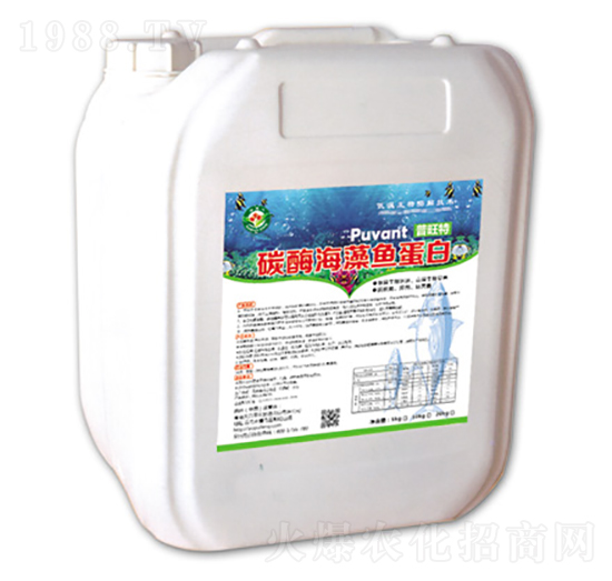 10kg̼ø�����~(y��)����-������-�W���S