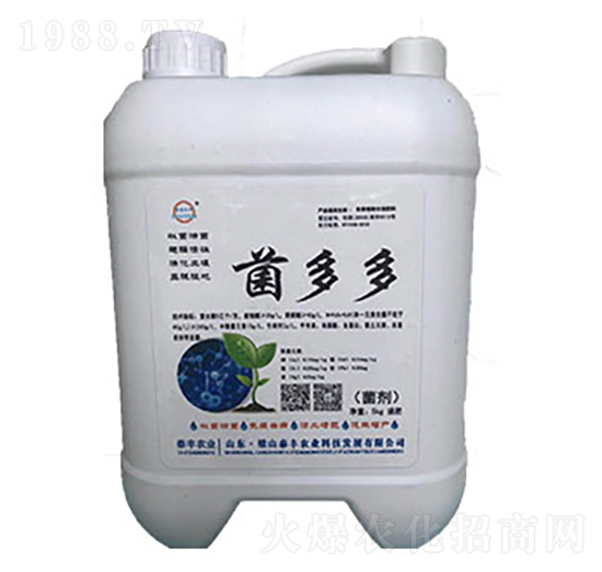 �����-��ɽ̩�S