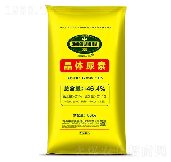 ���w����-�л�����