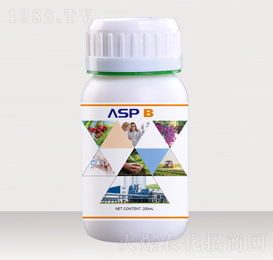 �����Ǵ���-��ؐ��