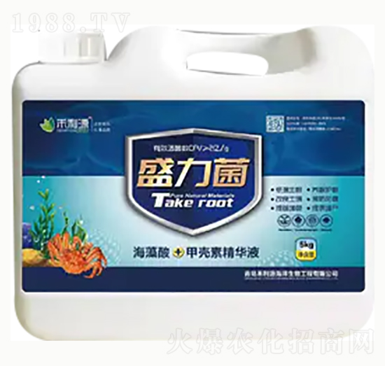 ʢ����-��혻���