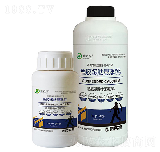 �~(y��)�z���đҸ��}-����