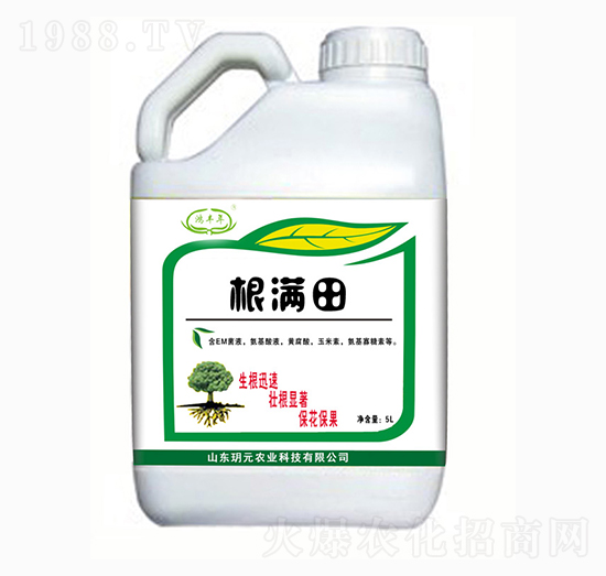 ���M��-���S��-�hԪ�r�I(y��)