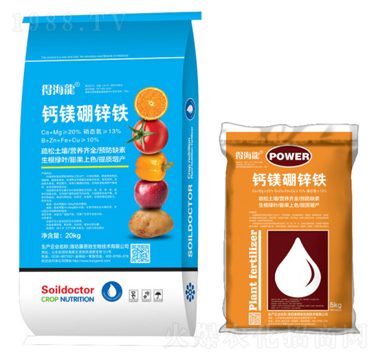 �}�V���\�F�w����-�ú���-������