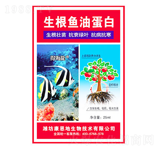 �����~�͵���-�ú���-������