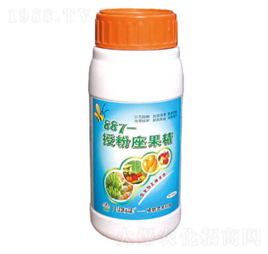 887-�ڷ�������-������