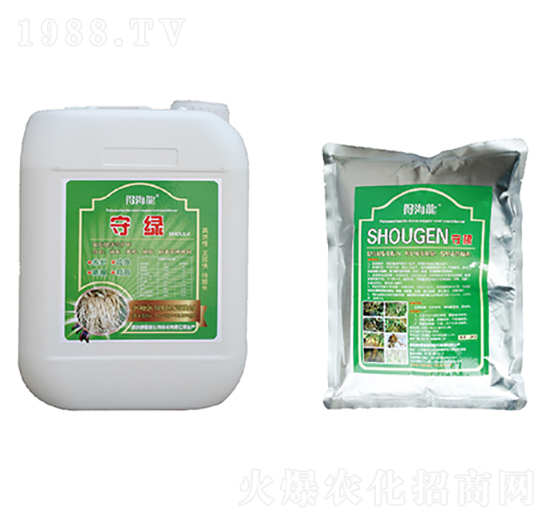 �ؾG���ظ�-�ú���-������