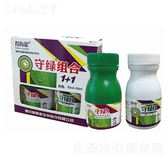 �ؾG�M��1+1-�ú���-������