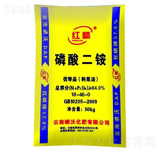 ������@-����