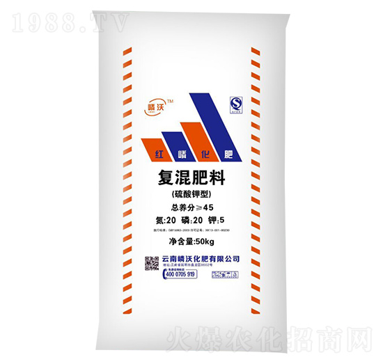 ������͏�(f��)�����20-20-5-����