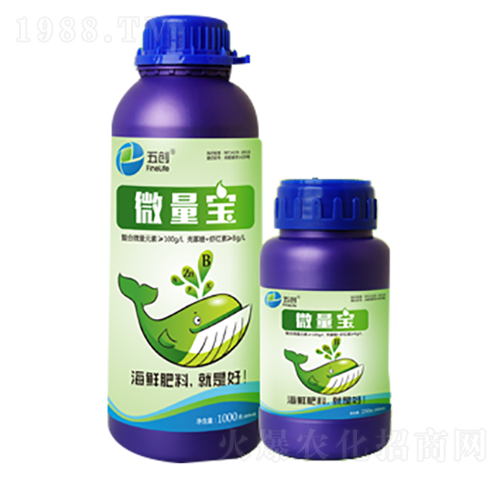 ΢����-�儓(chu��ng)