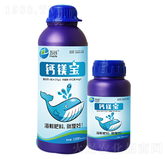 �}�V��-�儓(chu��ng)