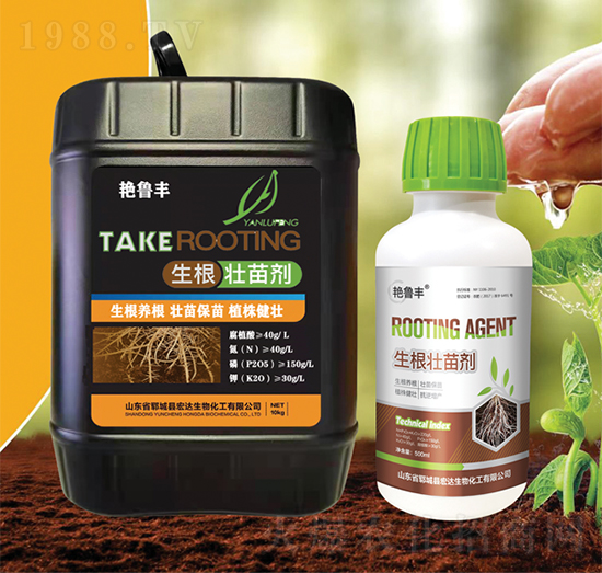 �������焩-���_(d��)����