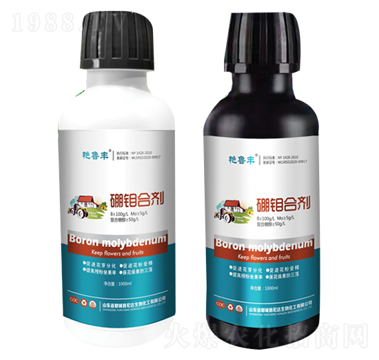 ���f�τ�-�G���S-���_(d��)����