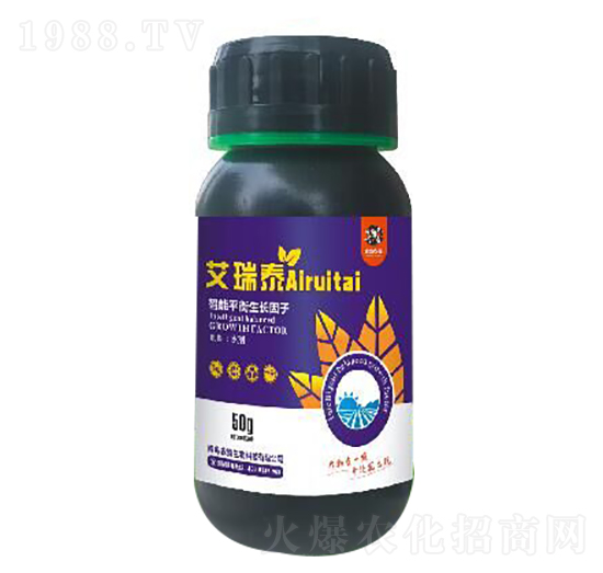 ����ƽ�����L����-����̩-�r(n��ng)ϲ����