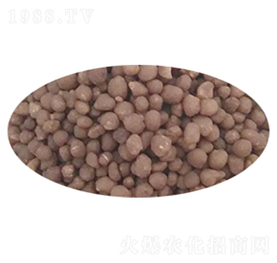 ������@-�dԴ�ʘI(y��)