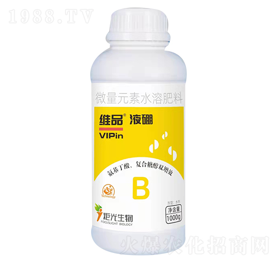 1000gΨƷҺ��-�������